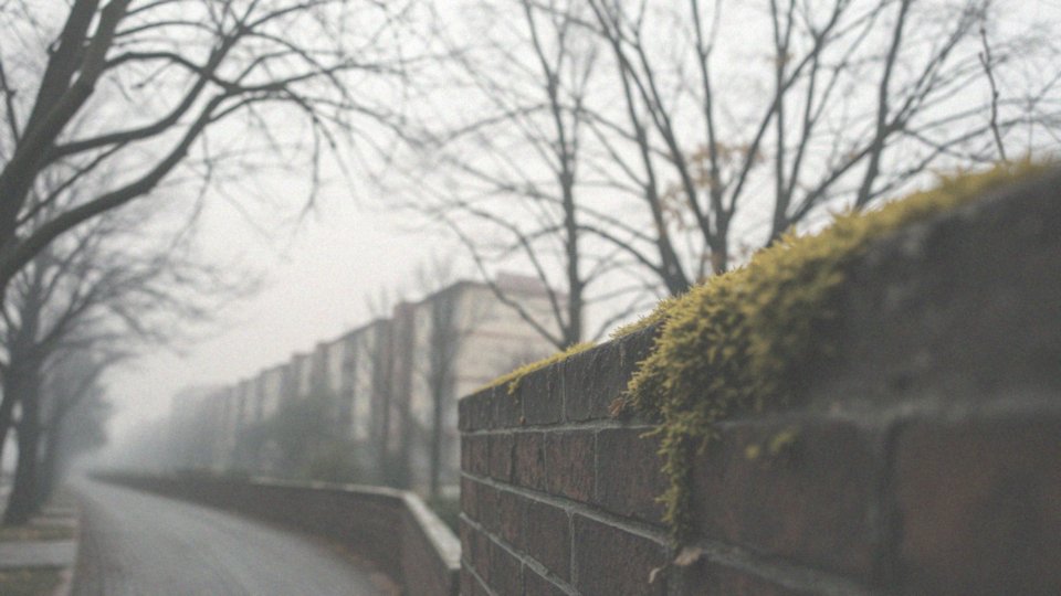 Jakie mają wpływ alergeny i zanieczyszczenia?