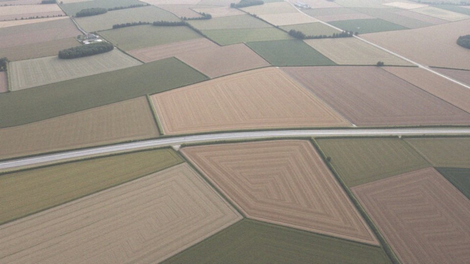 Ile płacą za ziemię pod S19? Przegląd cen i odszkodowań