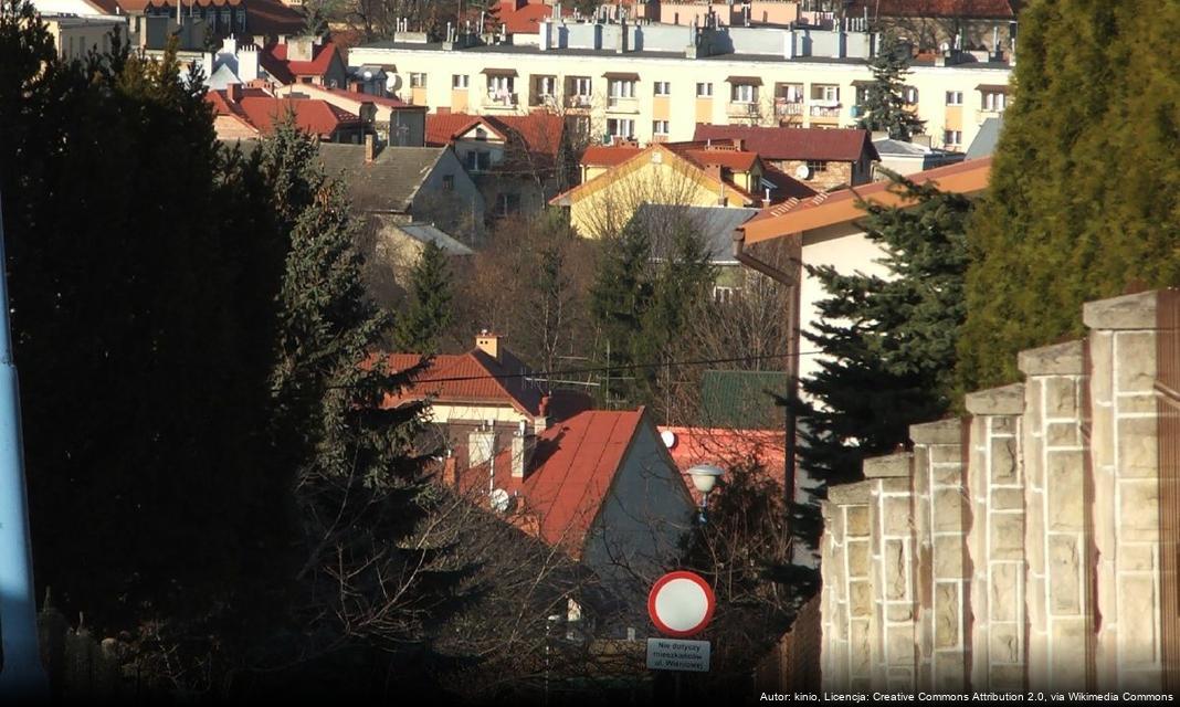 Kwestowanie na rzecz zabytków starego cmentarza w Jaśle